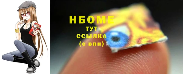 индика Вязники