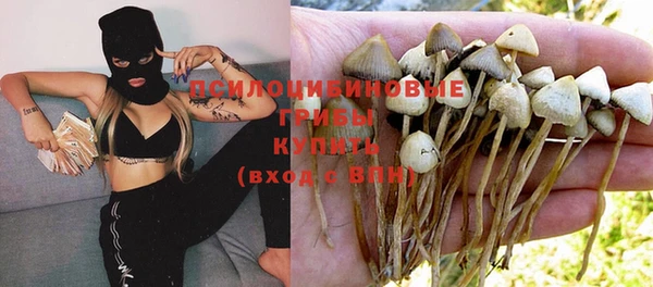 индика Вязники