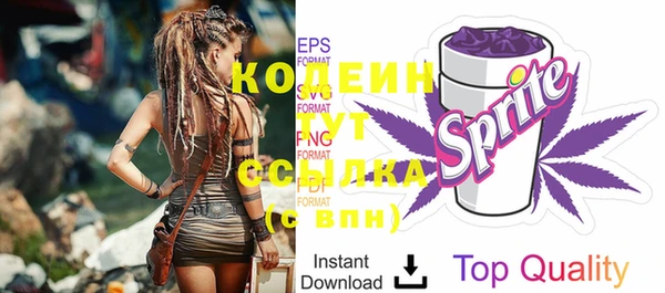 индика Вязники