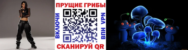 кракен tor  как найти закладки  Верхняя Пышма  Галлюциногенные грибы Psilocybe 